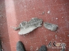renovation-batiment-020