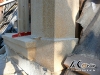 remplacement-chien-assis-025